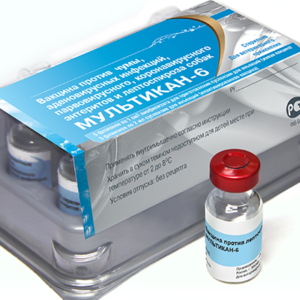 Вакцина против чумы, аденовирусных инфекций, парвовирусного, коронавирусного энтеритов и лептоспироза собак (мультикан-6)