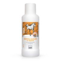 shampoo-balm-dandruff-600x600-srgb_1590426049